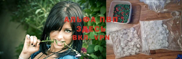 стаф Алексин