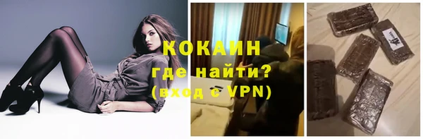 стаф Алексин
